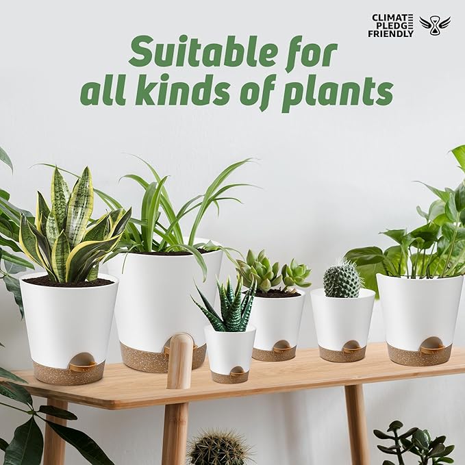 Indoor Self Watering Planters with Drainage Holes and Saucers, 8, 7, 6.5, 6, 5.5, 5 Inches, White, 6 Pots AFamilyofGardenLovers