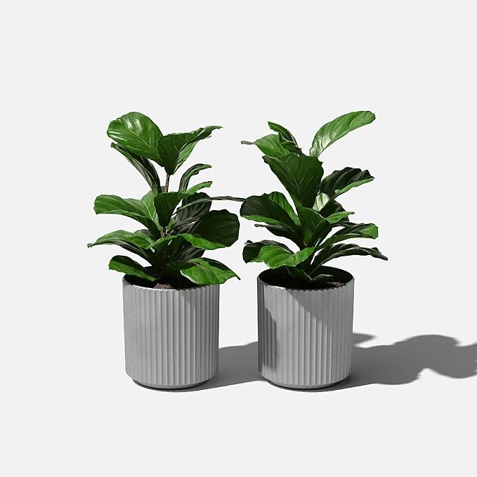 Veradek Demi Series Round Planter for Porch, Patio, Backyard | Durable Plastic-Stone Composite Material | Modern Décor for Tall Plants, Flowers VeradekOutdoor