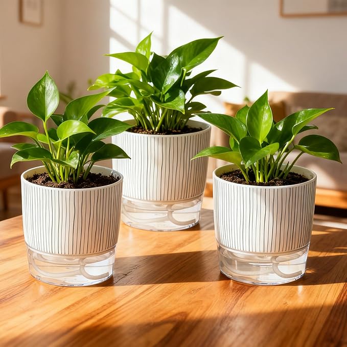 3 Pack Self Watering Pots Set, 5.5 Inch Self Watering Pots for Indoor Plants, Planter Pot with Wick Rope and Reservoir for African Violet, Spider Plant, Orchid Rootora