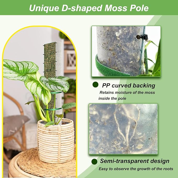 60"/40"/24" Metal Moss Pole, D Shape Sphagnum Moss Pole, Moss Poles for Climbing Plants, Monstera, Indoor Climbing Plants (3 Each of 40" 24") HOLANHING