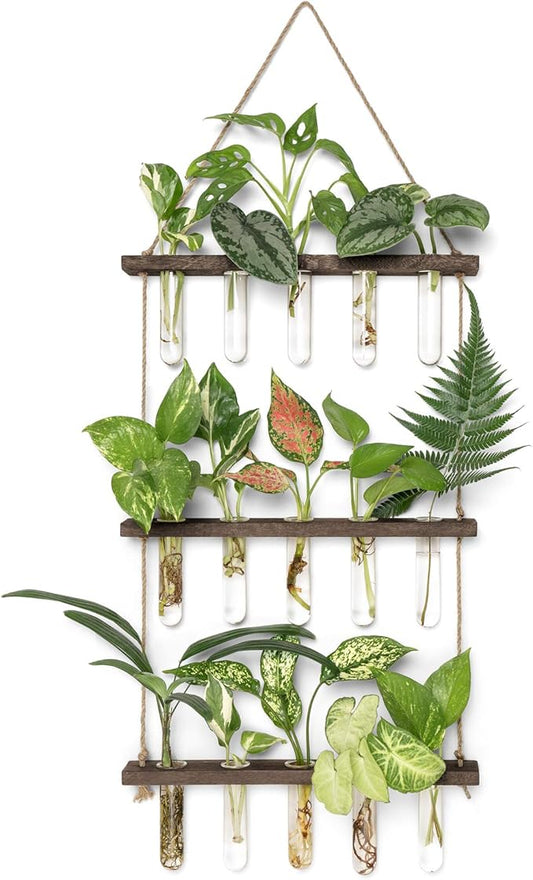 Mkono Plant Propagation Tubes, 3 Tiered Wall Hanging Terrarium with Wooden Stand Mini Test Tube Flower Vase Glass Planter Stations for Hydroponic Cutting Home Garden Office Decor Plant Lover Gift Mkono