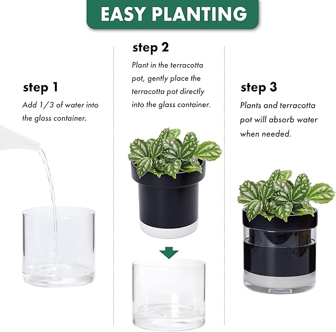 Phoenix Vine 6 Inch Self Watering Terracotta Planter, Black Terracotta Clay Pot with Glass Reservoir for Indoor Plants, Herbs, Flowers, Set of 1, 52-C-F-1 Phoenix+Vine