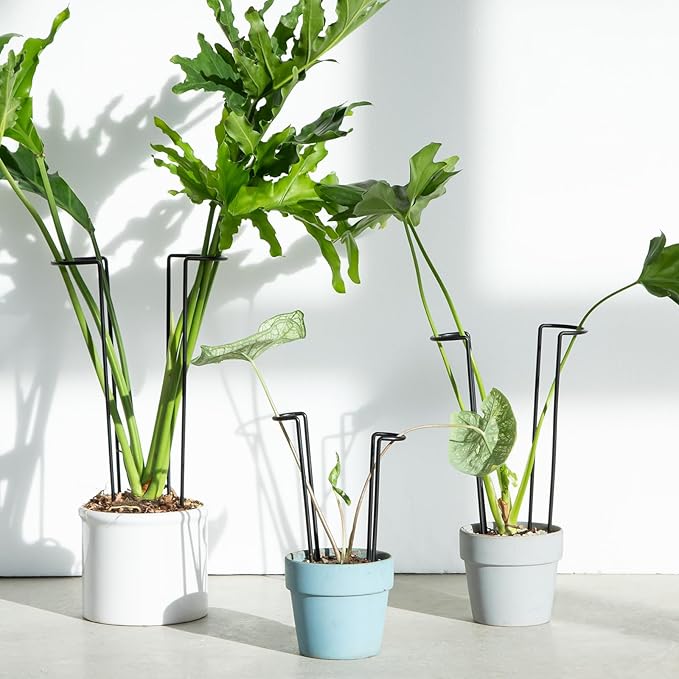 10-Pack Monstera Plant Support - 12 Inch Durable Iron U-Shaped Trellis Stakes for Indoor & Outdoor Medium-Sized Potted Plants - Perfect Stem Holder for Monstera & More Goooxim