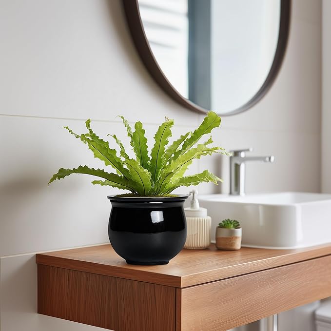 Ceramic African Violet Self Watering Pots, 6 Inch Self Watering Plant Pot with Absorbent Inner Pot, Flower Pots for Indoor Plants, Round Ceramic Planter, Home Decor, Plant Lover Gifts, Black Teagas