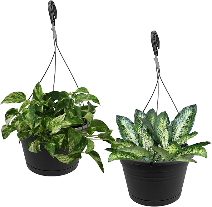 10in Euro Hanging Planters for Indoor Plants 2 Pieces 10inch Hanging Planter with (2) 40cm Hooks, Self Watering Indoor Outdoor Hanging Pots with Drainage Holes and Removable Drip Tray J3A+Collections