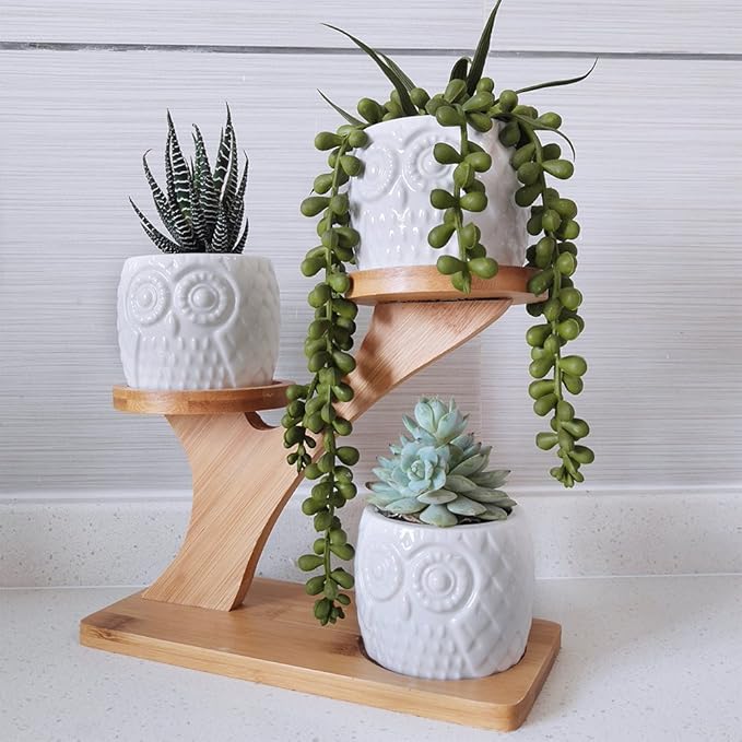 3pcs Owl Succulent Pots with 3 Tier Bamboo Saucers Stand Holder - White Modern Decorative Ceramic Flower Planter with Drainage - Home Office Desk Garden Mini Cactus Plant Pot Indoor Decoration Winlyn
