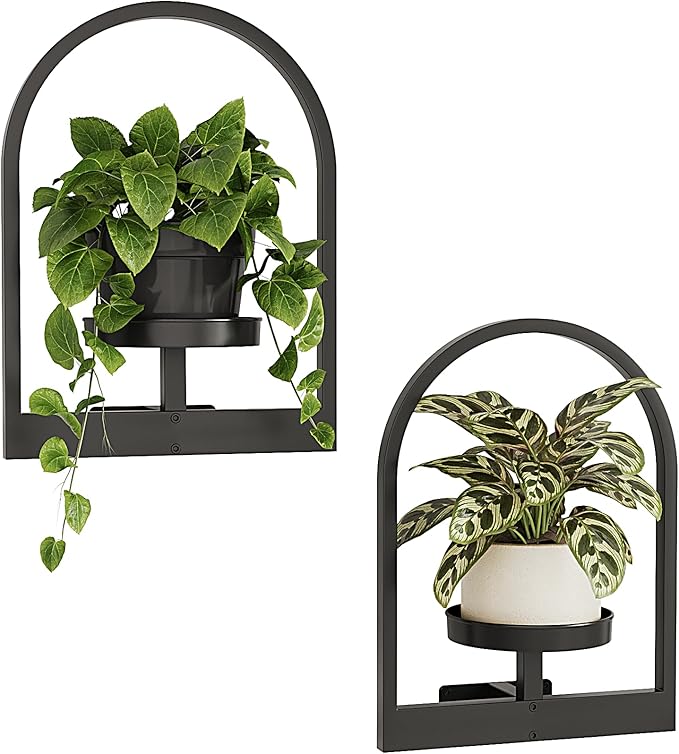 Bamworld Plant Stand Indoor, Plant Hanger Wall Planters for Indoor Plants Window Plant Shelves Plant Holder Wall Decor, Room Decor, Round (Patent Design) Bamworld