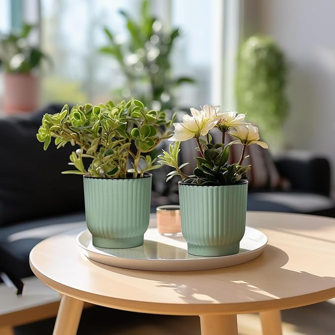 T4U 4.5 Inch Plant Pots Self Watering, 6 Pack African Violet Pots, Small Plant Pots for Plants, Small Indoor Plant Pot, Self Watering Planter for African Violet, Succulents (6 Pack 4.5" Pots, Green) T4U