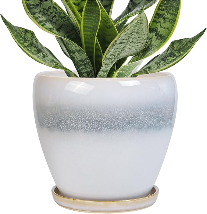 6.3 Inch Plant Pot - Ceramic Planters for Indoor Ourdoor Plants, Modern Succulent Pot, Round Planter with Drainage Hole and Saucer, Room Office Garden Home Decor, Plant Lover Gift, White-Grey EPFamily