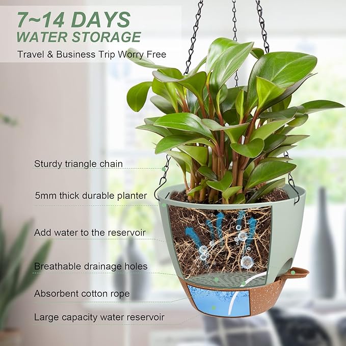 Hanging Planters for Indoor Outdoor Plants, 2 Pack Self Watering Hanging Pot with Drainage Holes & Removable Tray (Green, 6'') Vanslogreen