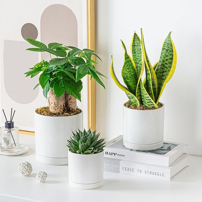 vancasso Ceramic Plant Pots, 3 Piece Planters for Indoor Plants, 4.25+5.25+6.25 Inch Flower Pots with Drainage, Plant Pots Indoor for Succulent, Pothos, Snake Plant and Money Tree, Etc (White) vancasso