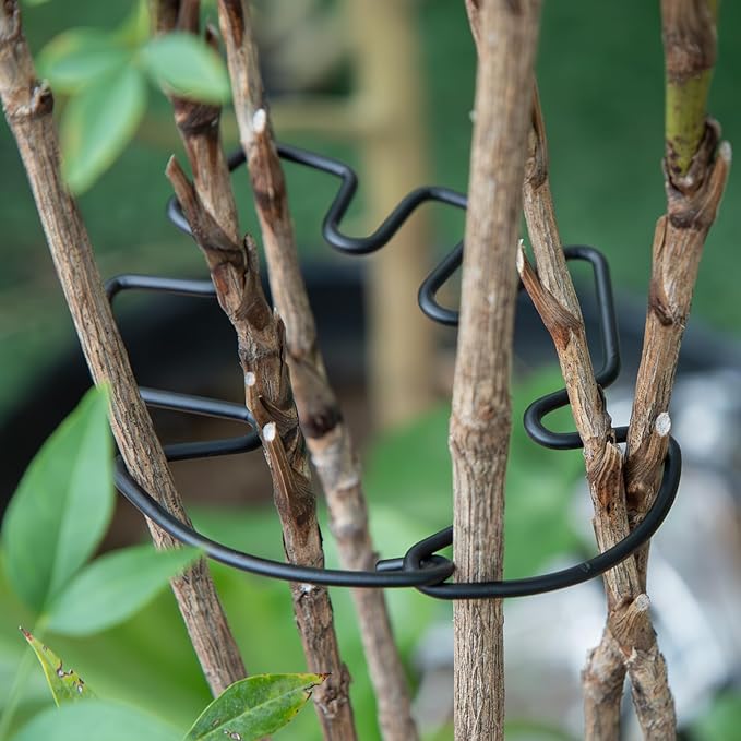 Monstera Plant Stem Support Set - 5pcs 4.13x2.95 inches Durable Supports for Indoor Climbing Plants - Easy-to-Use Stabilizers for Healthy Growth and Elegant Garden Decor Yohsnor