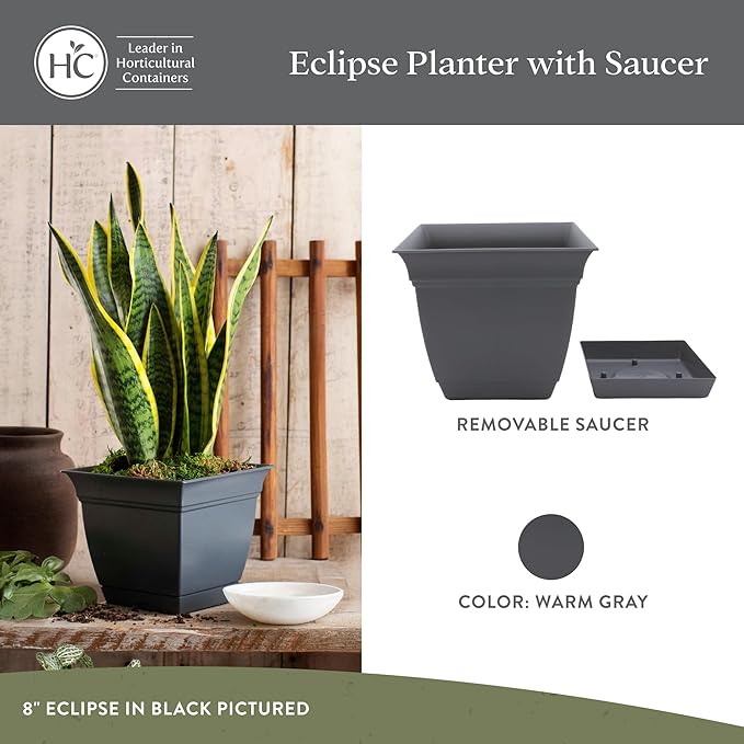 The HC Companies Eclipse Square Plastic Planter w/ Attached Saucer - Outdoor & Indoor Plant Pot with Drainage Holes - Lightweight, UV-Resistant Plastic Pots For Plants (8" Warm Gray, Pack of 1) TheHCCompanies
