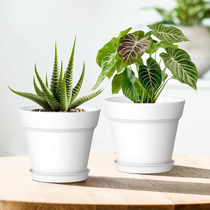 7 Inch Thick Plastic Plant Pots with Drainage Holes and Trays – 6 Pack Nursery Pots for Indoor & Outdoor House Plants, Seedling Starter Planters for Garden Flowers, White WSMKSZ