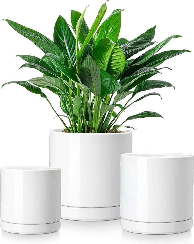 vancasso Ceramic Plant Pots, 3 Piece Planters for Indoor Plants, 4.25+5.25+6.25 Inch Flower Pots with Drainage, Plant Pots Indoor for Succulent, Pothos, Snake Plant and Money Tree, Etc (White) vancasso