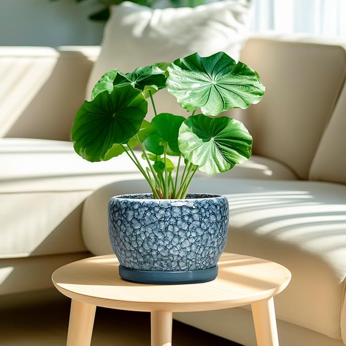 SQOWL 8 inch Plant Pot - Ceramic Pots for Plants Indoor, Decorative Plant Pot with Drainage Hole and Saucer, Ceramic Flower Pots Outdoor, Round Planter, Living Room Decor, Garden Gifts for Women, Blue SQOWL