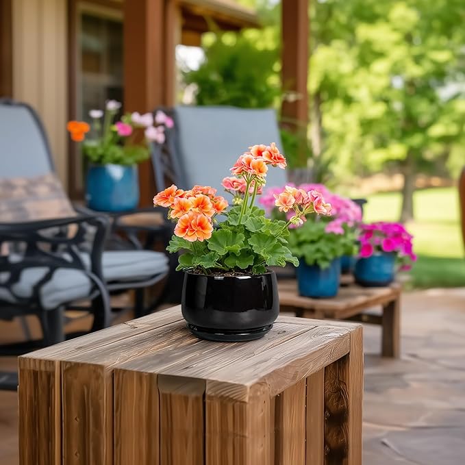 G EPGardening Small Ceramic Planter - 4 Inch Succulent Pots with Drainage Hole & Sacuer, Flower Pots for Indoor Outdoor Plants, Modern Decorative Round Planter, Room Decor, House Warming Gifts, Black GEPGardening