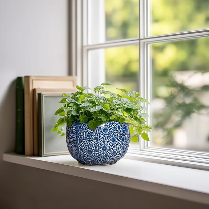Orchid Pot - 6 Inch Ceramic Plant Pot for Indoor Outdoor, Round Unique Planters with Drainage Hole, Modern Round Decorative Flower Pots, Home Decor, Gifts for Plant Lovers, Blue Thirtypot