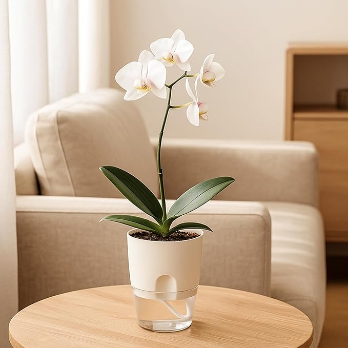 Planterhoma 12 Pack Self Watering Pots for Indoor Plants, 3.2 Inch Plant Pot Plastic Self Watering Planter for Orchid, African Violet, Clear Flower Pots with Drainage Holes and Wicking Rope, White Planterhoma