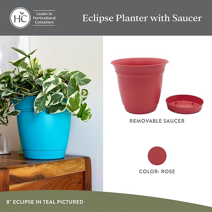 The HC Companies 6 Inch Eclipse Round Planter Pots with Drainage Holes & Attached Saucer, Lightweight UV-Resistant Plastic Indoor & Outdoor Planters, 4-Pack Flower Pots for Garden & Home Decor, Rose TheHCCompanies