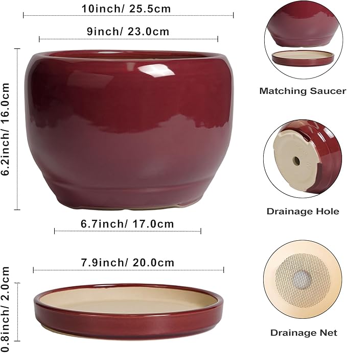 SQOWL Ceramic Pot for Plants - 10 Inch Indoor Planter with Drainage Hole and Saucer, Round Modern Planter Outdoor, Decorative Large Plant Pot for Flower, Living Room Decor, Garden Gifts, Red SQOWL