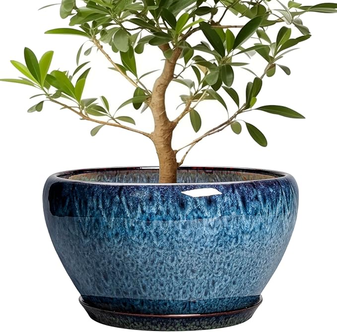 Ceramic Plant Pots 13 Inch - Indoor Planter with Drainage Hole and Saucer, Decorative Large Planter for Indoor Outdoor Plants, Ceramic Flower Pots, Gifts for Plant Lovers, House Decor, Blue Ceramicfor