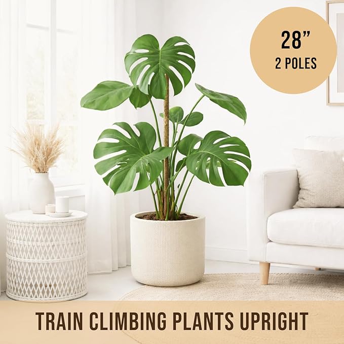 Moss Pole Monstera Plant Support – 2 Pack 28” Bendable Moss Pole Monstera Plant Support, Plant Stakes for Indoor Plants, Tall Plant Sticks Support for Climbing Plants Craft911byLIME