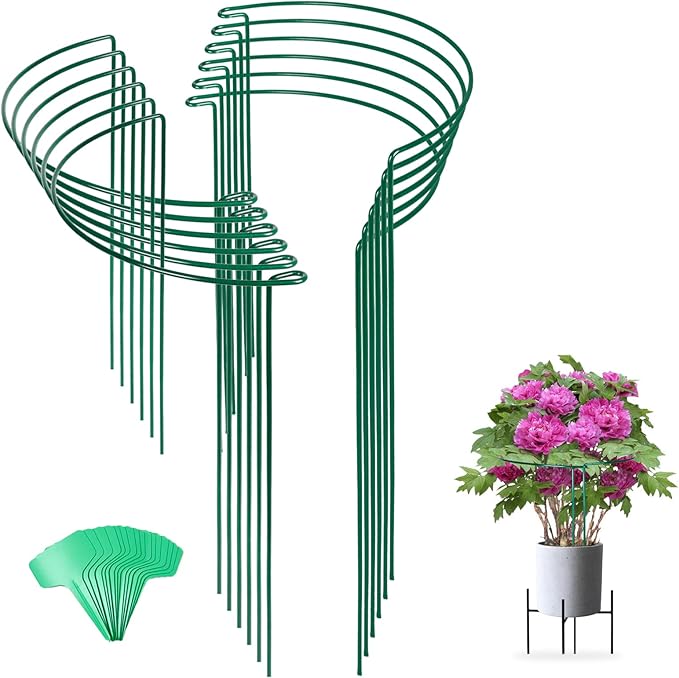 Joyhalo 12 Pack Tall Snake Plant Support Stakes for Indoor Plants 24 Inch, Peony Cages and Supports, Peony Cage with 15 Pcs Twist Ties, Monstera Plant Support for Plants Tomato, Hydrangea, Monstera Joyhalo