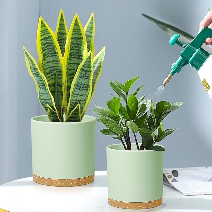8/7/6 inch Plant Pots, 3 Pack Cylinder Flower Pots for Outdoor Indoor Plants, Decorative Plastic Planters with Drainage Holes and Saucers for Garden House Plants, Green with Brown Meowell