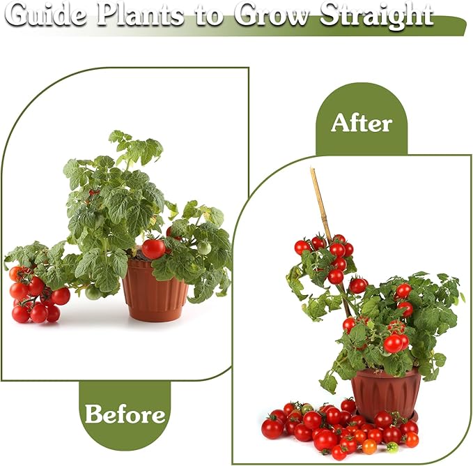 Plant Stakes 18inch, 20Pcs Natural Bamboo Sticks Garden Stakes, HAINANSTRY Plant Support Stakes for Indoor & Outdoor Plants, Orchid Tomato Vegetable Stakes for Garden HAINANSTRY