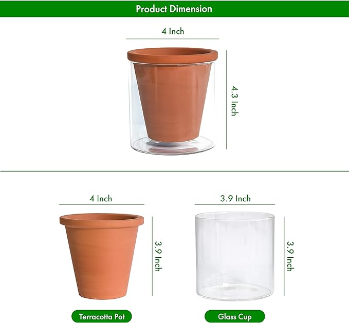 D'vine Dev 4 Inch Design Self Watering Pot for Indoor Plants, Terracotta Planter with Cylinder Glass Cup, 37-X-A-1 DvineDevPlanterPotsandStand