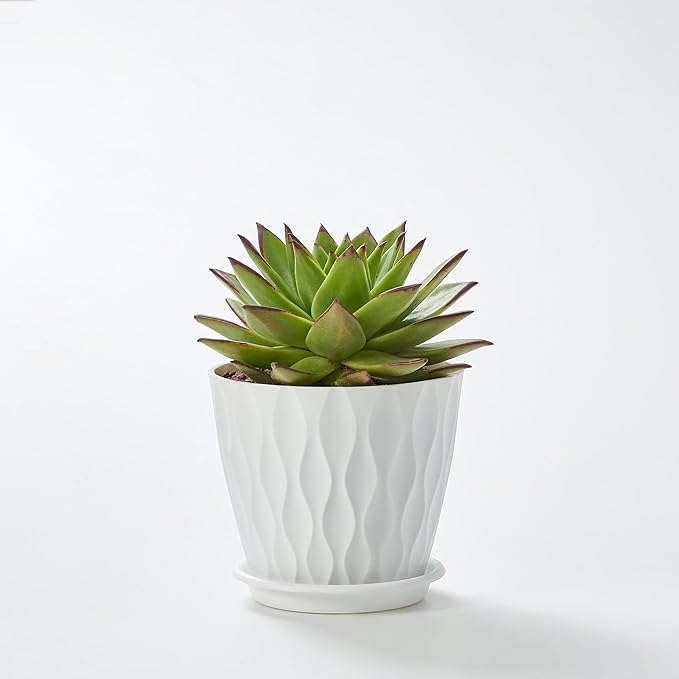 FaithLand 6-Pack 6-Inch Plastic Plant Pots with Saucers | Thickened PP Material, Modern Wave Texture, Enhanced Drainage for Indoor/Outdoor Garden Plants | White Value Set FaithLand