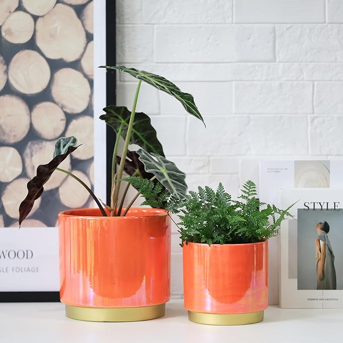 Gepege Peach Indoor Plant Pots for Plants, Ceramic Planter with Drainage Hole, 7.6 Inch +6 Inch 2pcs Succulent Orchid Flower Pot - Rainbow Pearl Glaze Gepege