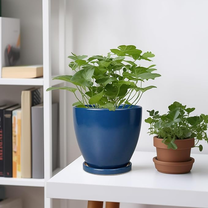 6.8 Inch Plant Pot - Ceramic Planter with Drainage Hole and Saucer, Modern Round Flower Pot, Planters for Indoor Plants, Home Garden Decor, Blue EPFamily