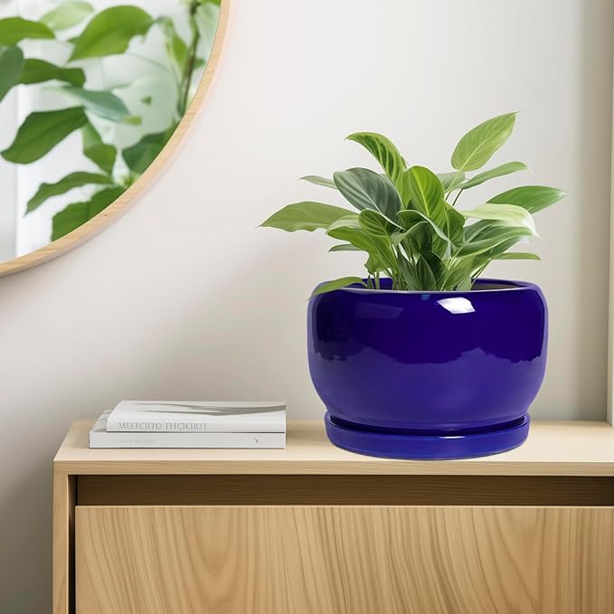 SQOWL Ceramic Plant Pot - 10 Inch Ceramic Planter for Indoor Outdoor, Round Flower Pot with Drainage Hole and Saucer, Modern Decorative Large Planter, Garden Decor, Plant Lover Gifts, Blue SQOWL