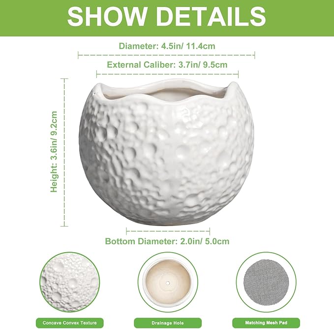 4 inch Plant Pots - Ceramic Pots for Plants with Drainage Hole, Small Planter for Indoor Outdoor, Unique Succulent Pot, Decorative Modern Round Planter, Desk Decor, Plant Lover Gifts, White Thirtypot