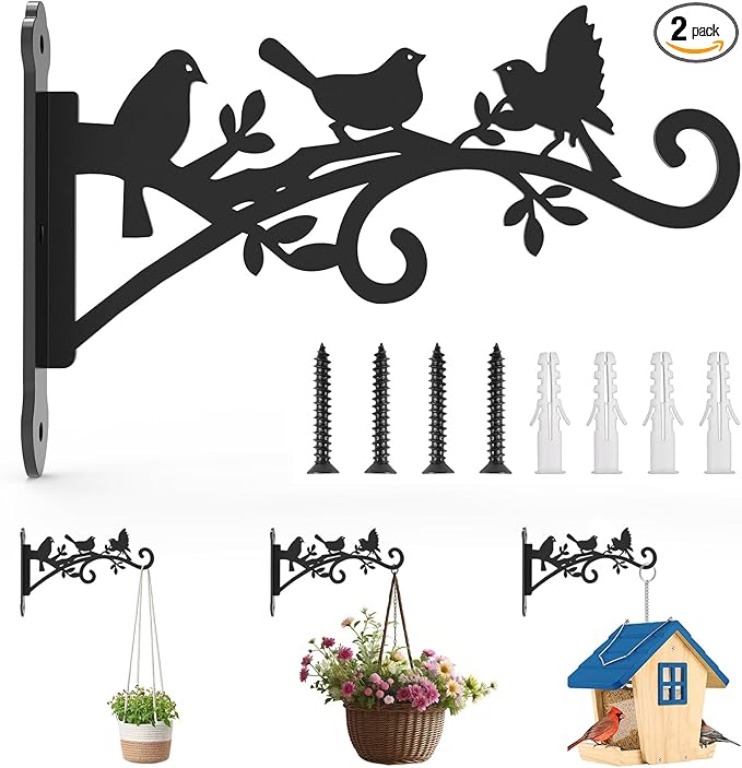 Metal Hanging Plant Bracket with Birdie Pattern 2 Pack – Heavy Duty Plant Hooks for Hanging Flower Baskets，Plants, Bird Feeder, Wind Chime - Indoor/Outdoor Use，Black Matte Texture (12 in) Rootora