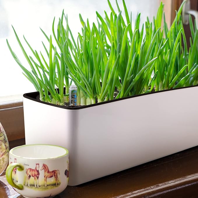 Skelang 2-Pack Self Watering Planter, Rectangle Flower Pot with Water Level Indicator, Window Gardening Box for Indoor Plants, Succulent, Sprout, Pepper Skelang