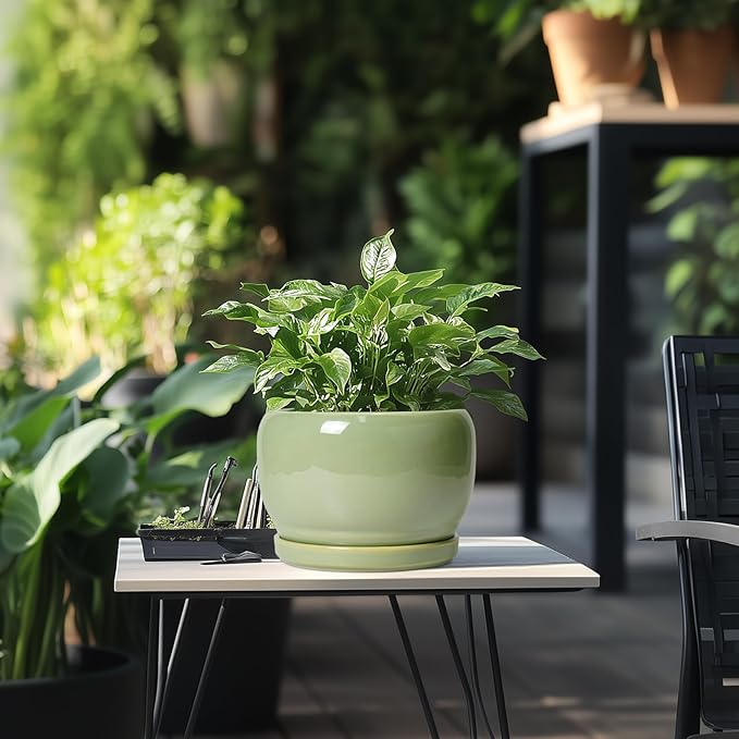 SQOWL 8 Inch Plant Pot - Ceramic Planters with Drainage Hole and Tray, Round Flower Pot for Indoor Plants, Modern Decorative Planters Outdoor, Garden Decor, Housewarming Gifts, Green SQOWL