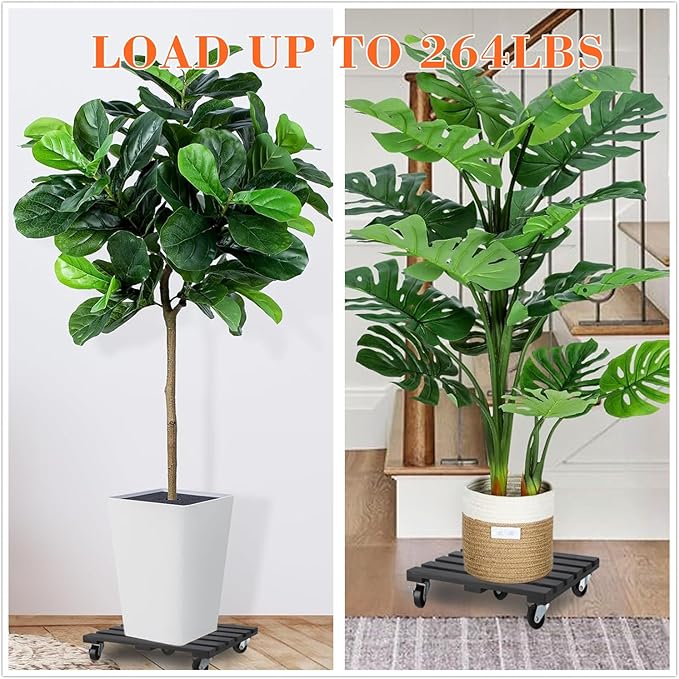 2 Pack Plant Stand with Wheels, 12" Rolling Plant Stand 264 LBS Heavy Duty Wooden Square Plant Caddy with Metal 360° Lockable Caster Wheels for Outdoor Indoor Large Plant Pots, Flower Pot, Patio-Black PRAQECZ