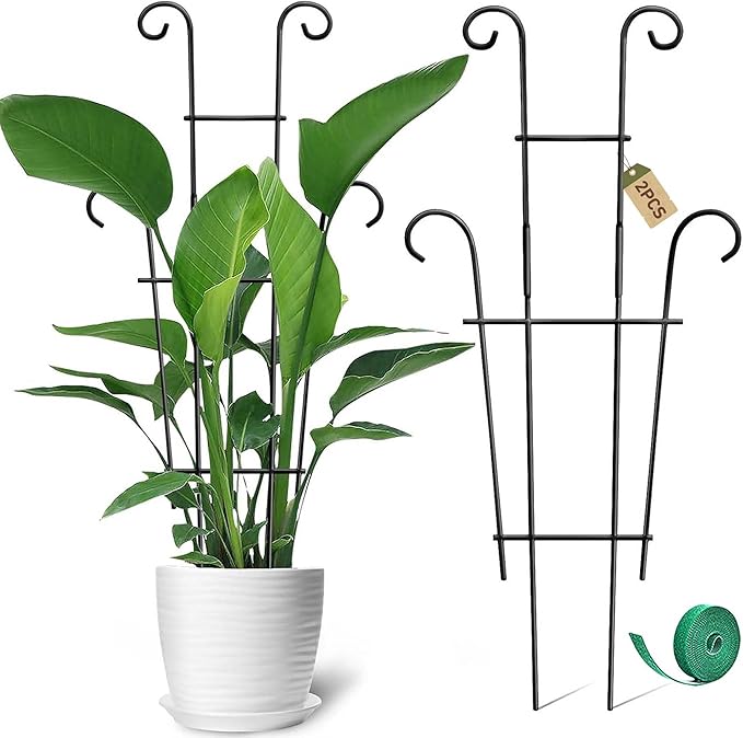 Coomin 23in Taller Plant Trellis for Climbing Plants Indoor, Sturdy Houseplant Trellis for Potted Plants with Ties, Vine Plant Support for Monstera Pothos Ivy, Plant Decor, 2P COOMIN