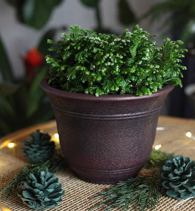 The HC Companies Sierra Round Self-Watering Pot - Lightweight Plastic Planter for Herbs & More - Durable Plant Pots for Indoor Plants & Outdoor Plants (10” Rustic Redstone, Pack of 1) TheHCCompanies