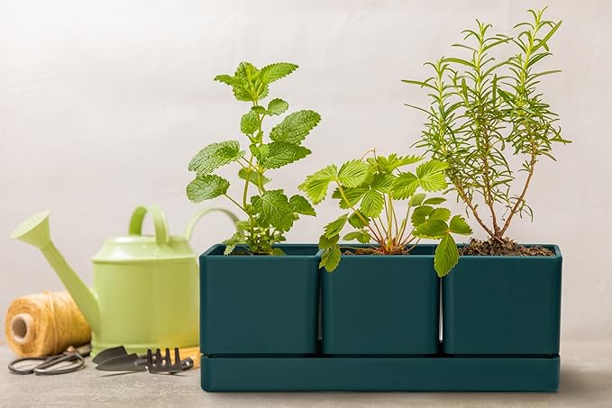 D'vine Dev Herb Garden Planter Set, Plastic Plant Pots with Drainage and Saucer, Indoor Succulent Cactus Vegetable Pot for Windowsill, Garden Balcony, Green, Set of 2, 76-V-C-2 DvineDevPlanterPotsandStand