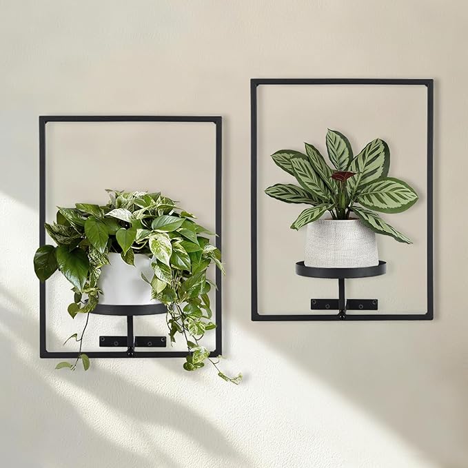 Sisher Plant Stand Indoor Outdoor,Window Plant Shelf Picture Frame Wall Plant Stand Metal Wall Plant Shelf Ease of Assembly Modern Style for Home Decor (Square 2-pack) GetHightQualityBeddingComforterSetforYourRoom
