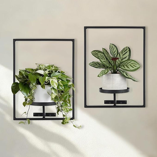 Sisher Plant Stand Indoor Outdoor,Window Plant Shelf Picture Frame Wall Plant Stand Metal Wall Plant Shelf Ease of Assembly Modern Style for Home Decor (Square 2-pack) GetHightQualityBeddingComforterSetforYourRoom