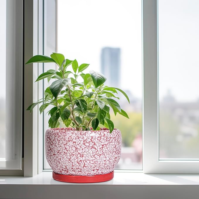 SQOWL Ceramic Planters for Indoor Plants - 10 Inch Flower Pots with Drainage Hole and Saucer, Decorative Ceramic Plant Pots, Round Large Planter Outdoor, Room Decor, Housewarming Gifts, Red and White SQOWL
