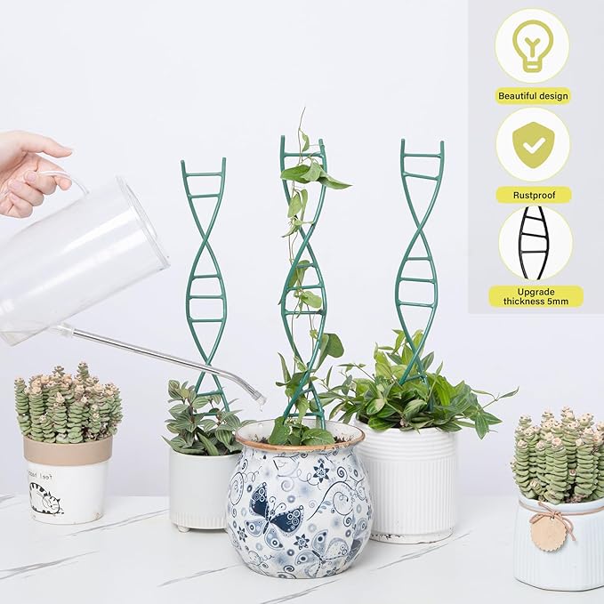 Indoor Plant Trellis - DNA Spiral Design Metal Trellis for Potted Plants, Stylish Climbing Support for Small Houseplants, Durable & Easy to Install Garden Upgrade for Vining Plants Goooxim