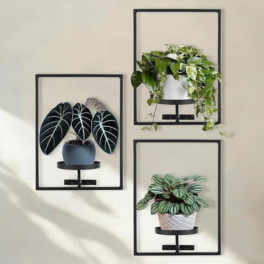 Sisher Plant Stand Indoor Outdoor,Window Plant Shelf Picture Frame Wall Plant Stand Metal Wall Plant Shelf Ease of Assembly Modern Style for Home Decor (Square 3-pack) GetHightQualityBeddingComforterSetforYourRoom