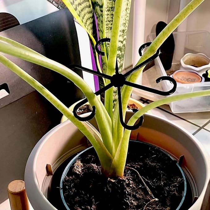4Pcs Plastic Plant Climbers Stem Holders, Black Climbing Houseplant Stem Supports, 2 Sizes Reusable Flower Plant Stakes Trellis Hook for Indoor Plants Growth Accessories LUOTIVON
