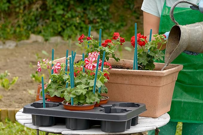 Garden Wood Plant Stakes Green Bamboo Sticks,HAINANSTRY Sturdy Floral Plant Support Stakes Wooden,Wooden Sign Posting Garden Sticks(25 Pack 12 Inches) HAINANSTRY